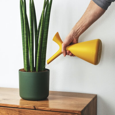 À propos Plants Store Gallery Img 2